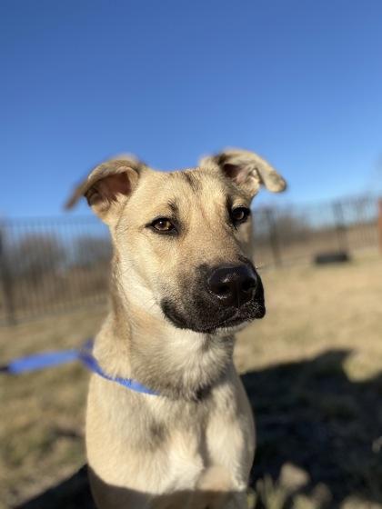 Reno — thumbnail 2