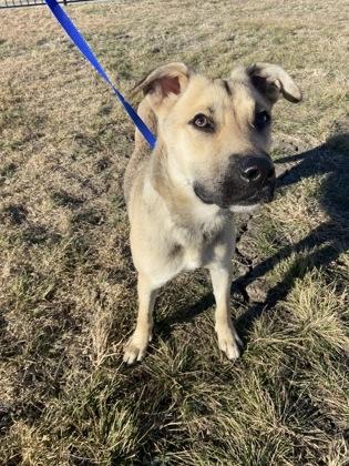 Reno — thumbnail 3