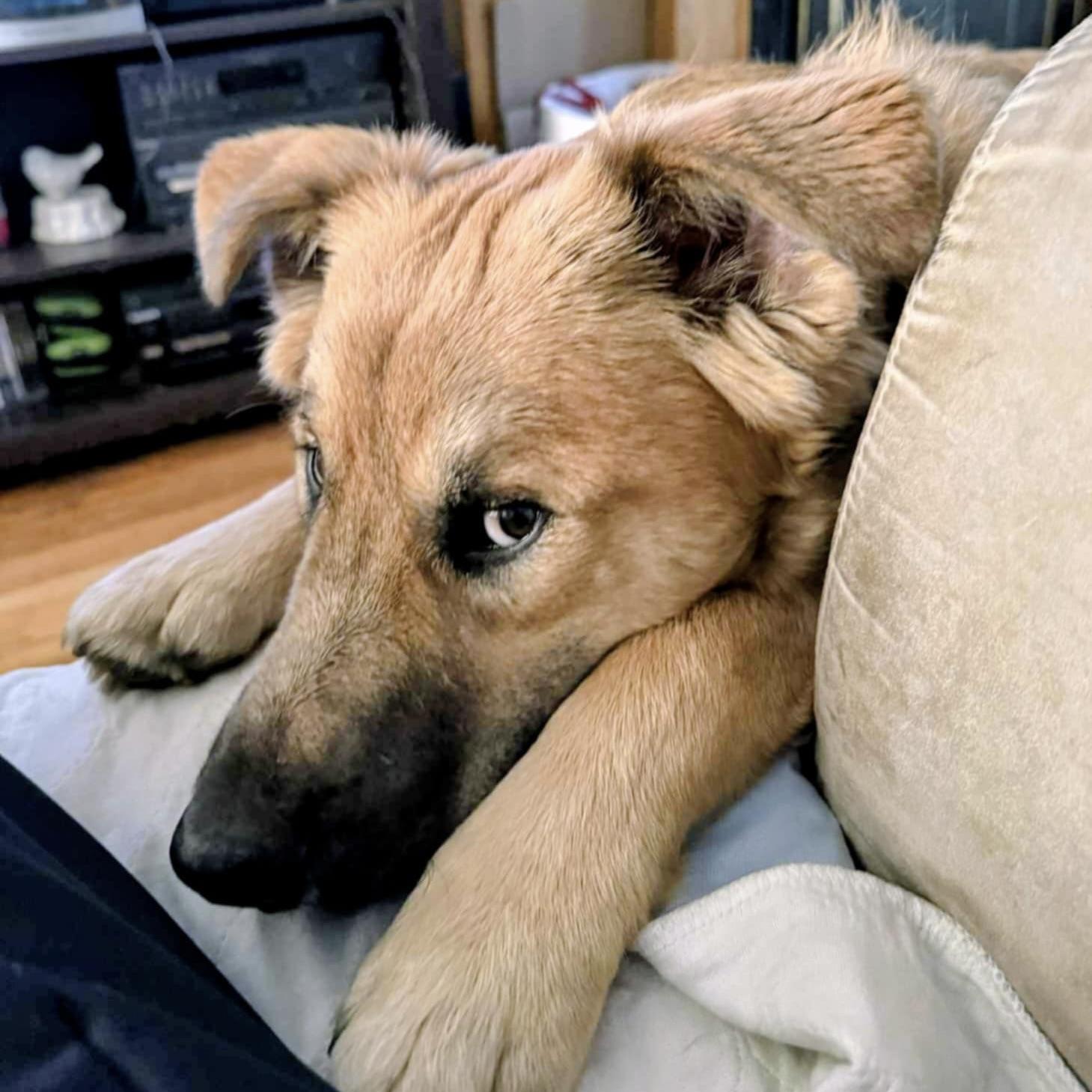 Little Prince (20250507-08)