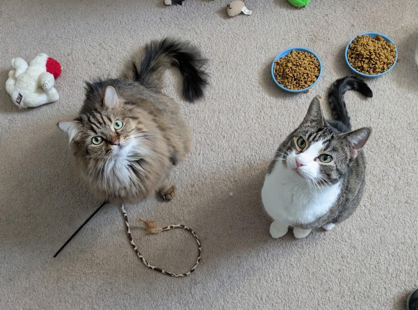 Theo and Jasmine
