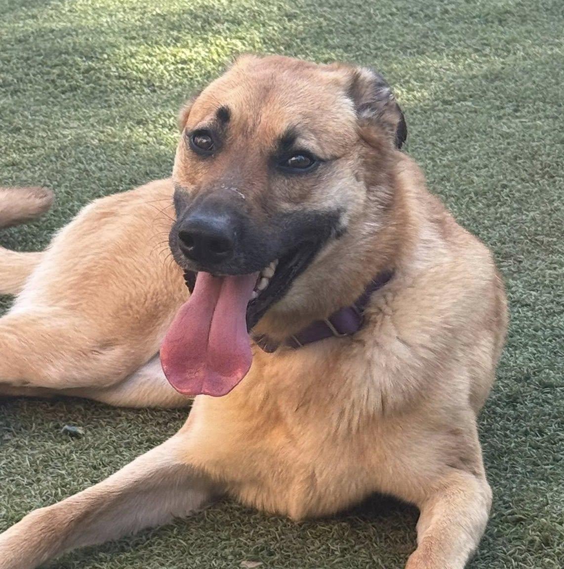 Sadie