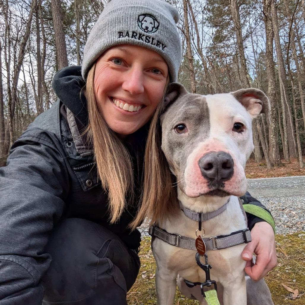 Enlarge Barnaby, a Adoptable mixed breed in Richmond, VA image 3/6