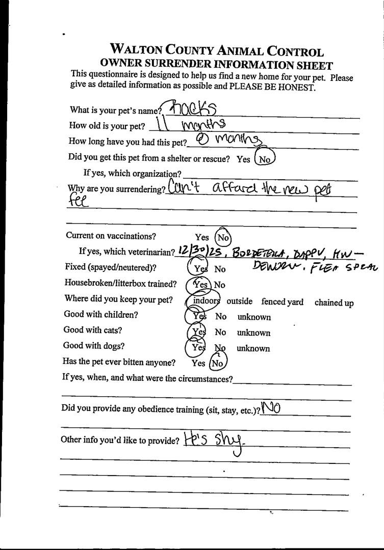 Enlarge Racks #21648, a ADOPTABLE mixed breed in Monroe, GA image 2/5