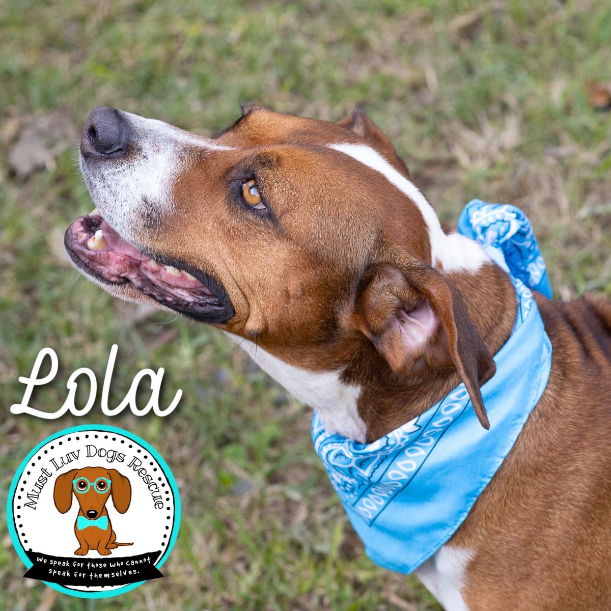 Lola