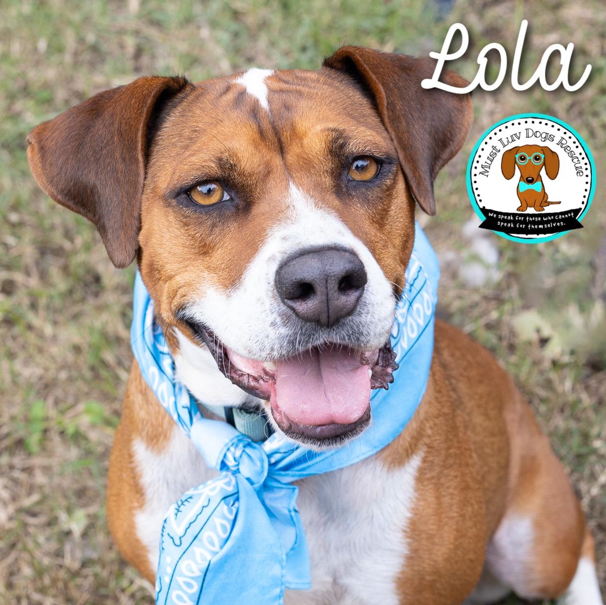 Lola