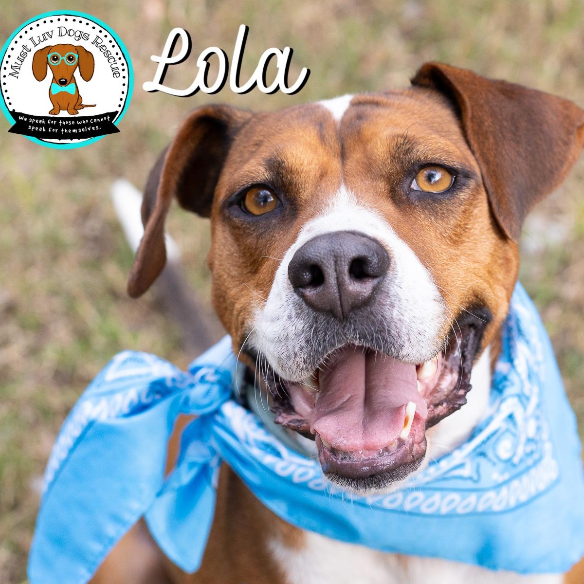 Lola