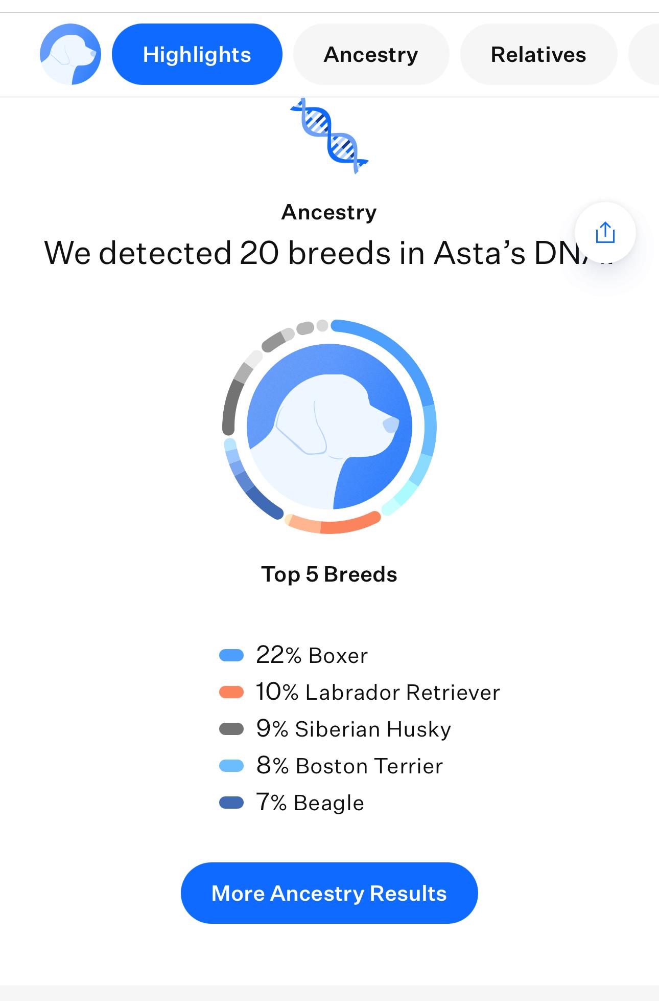 Enlarge Kuma, a Adoptable mixed breed in Cincinnati, OH image 4/12