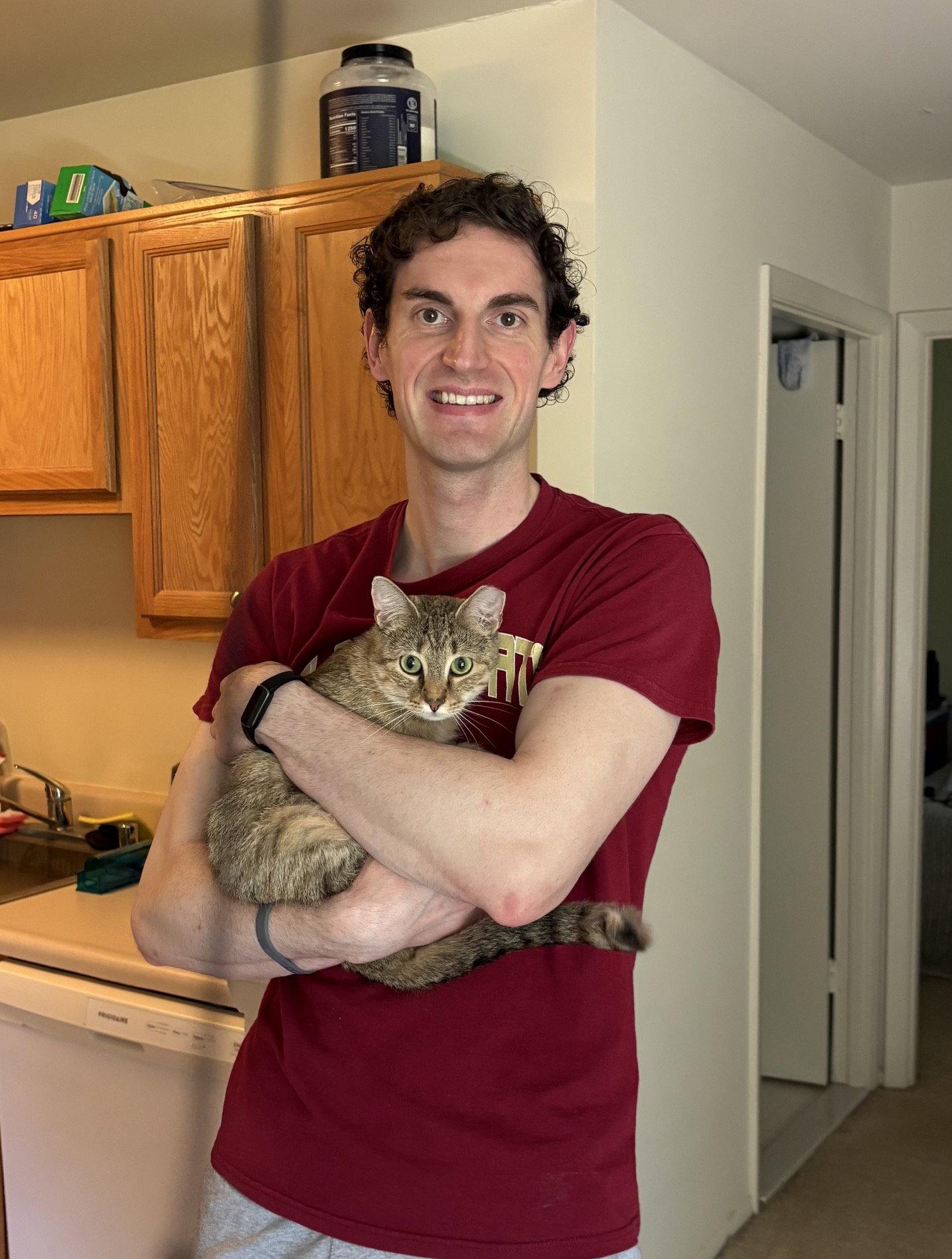 Enlarge Ruby, a Adopted Domestic Short Hair in Lutherville, MD image 3/3