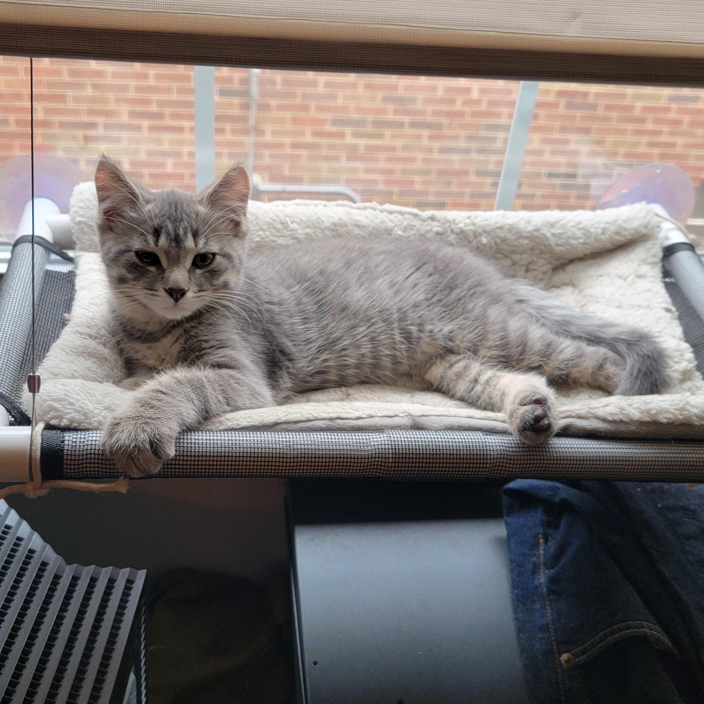 Sebastian