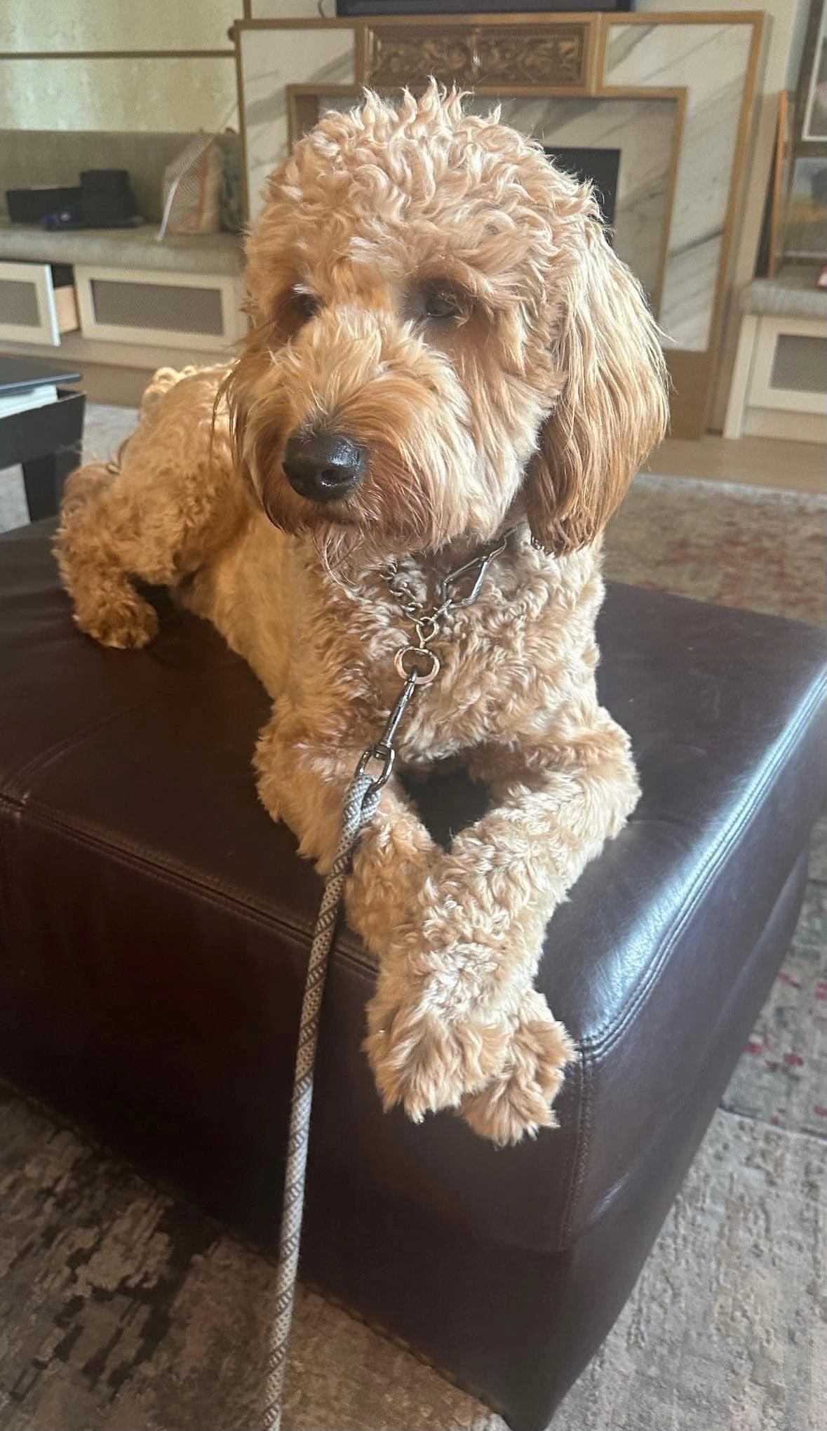 Charlie (20250329-02) — thumbnail 3