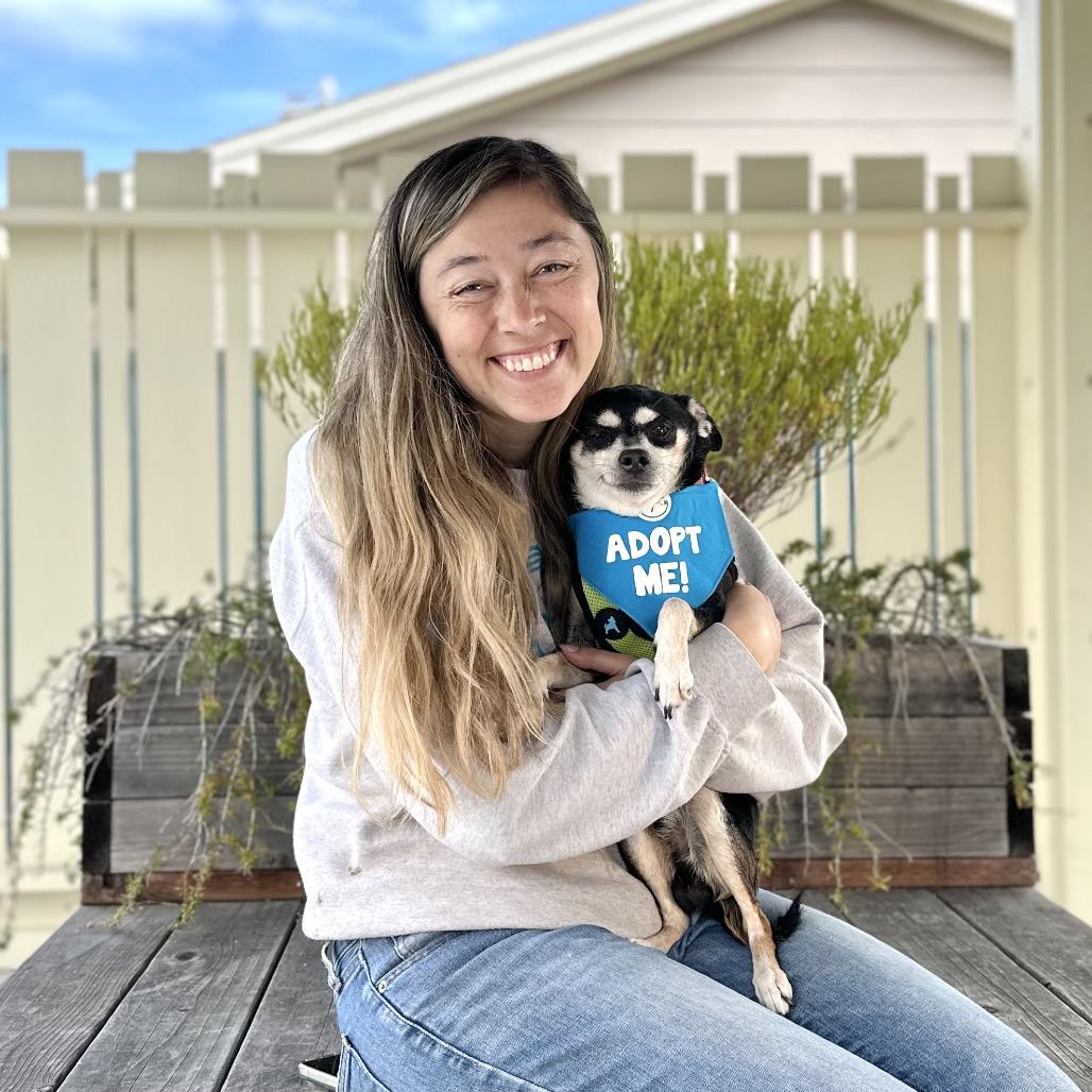 Enlarge Mayo, a Adoptable mixed breed in Pacific Grove, CA image 5/5