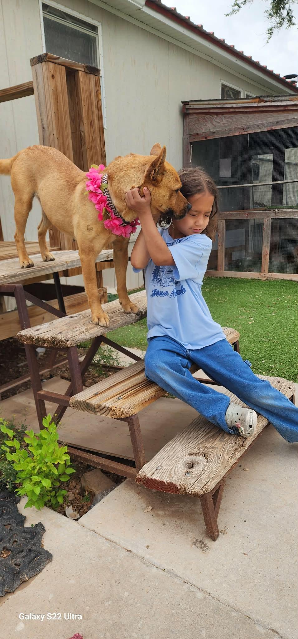 Enlarge Chani, a ADOPTABLE mixed breed in Roswell, NM image 2/5