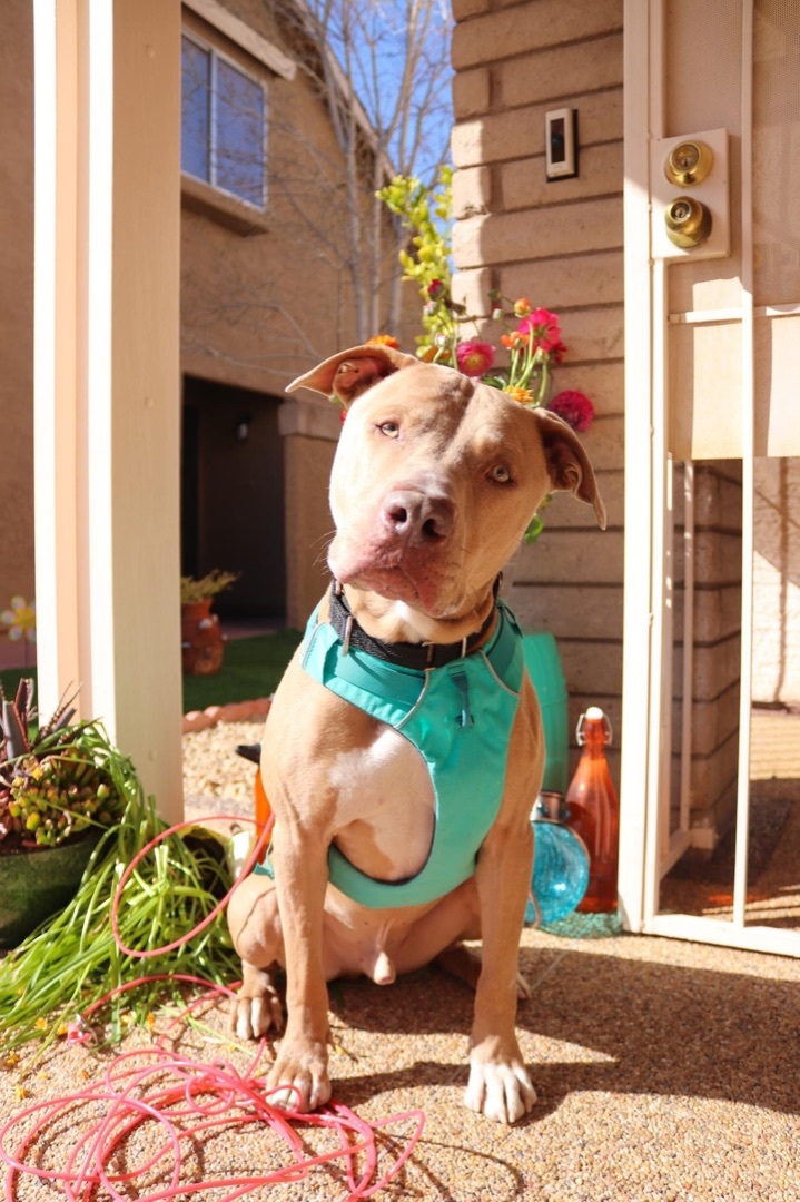 MAX photo 5