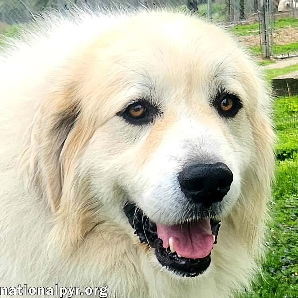 Ashi in KY - Always Wearing a Smile!