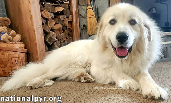 Ashi in KY - Always Wearing a Smile!
