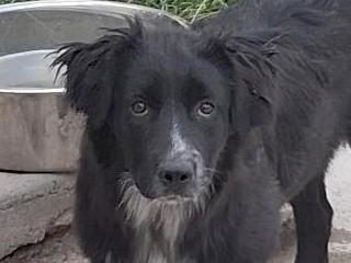 Marley