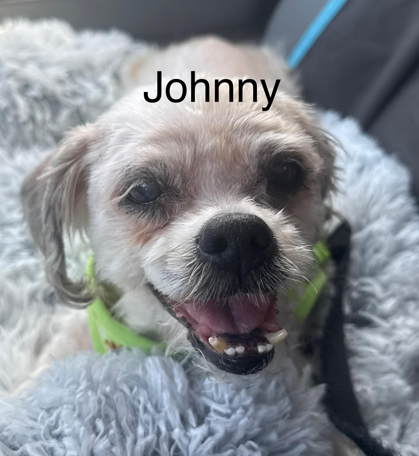 Johnny