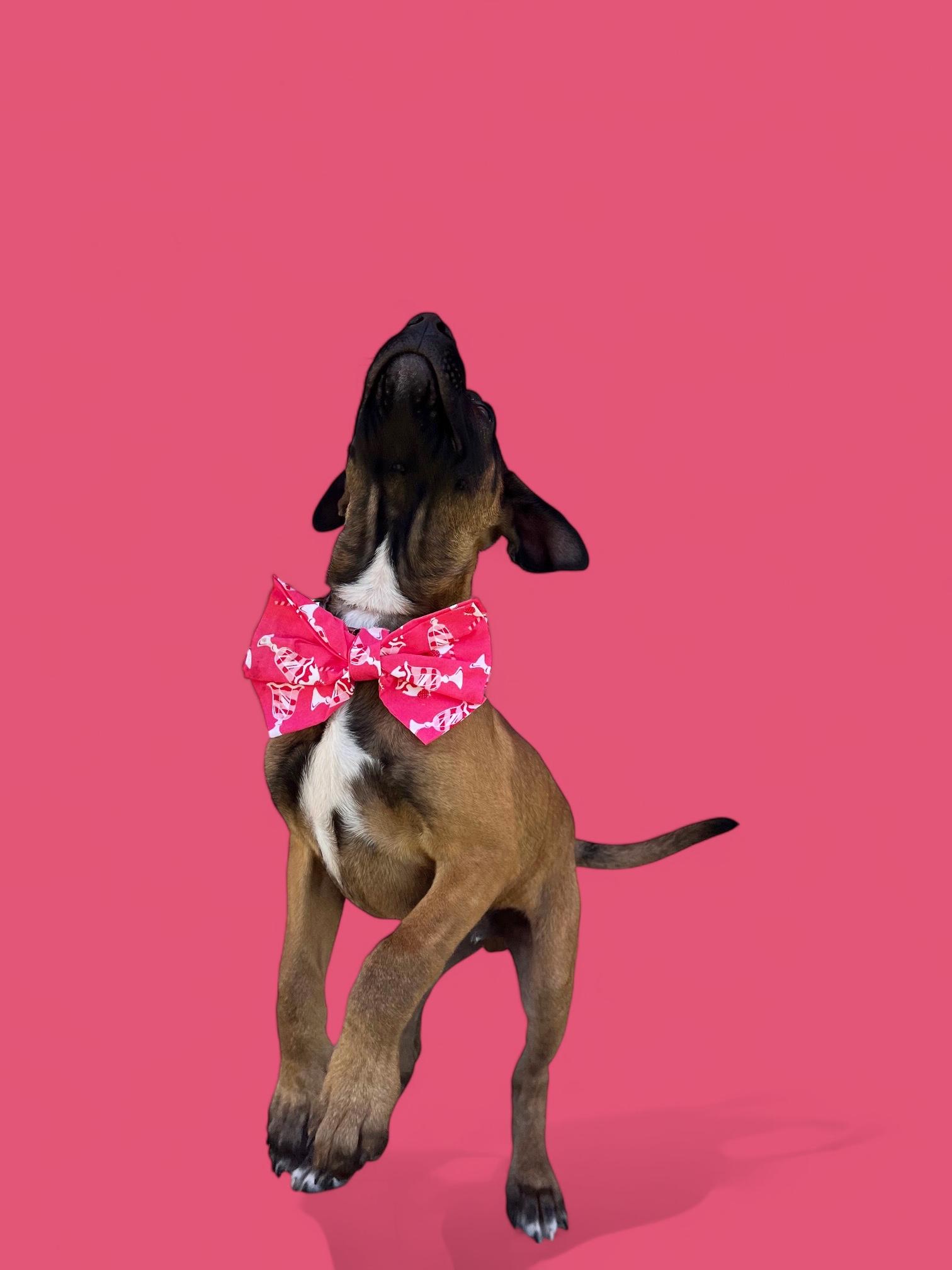Ari-ADOPT Me!! 3