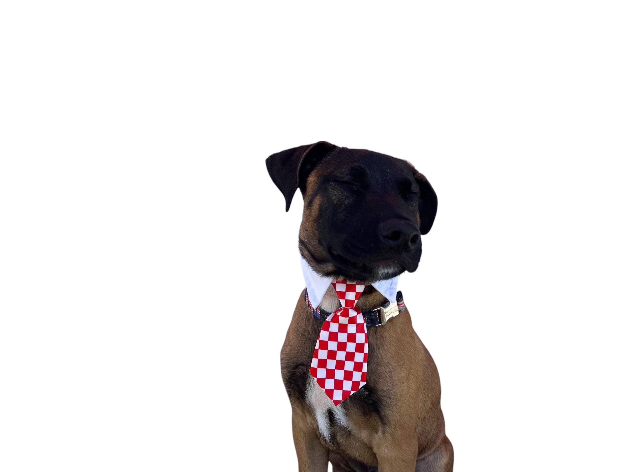 Ari-ADOPT Me!! 5