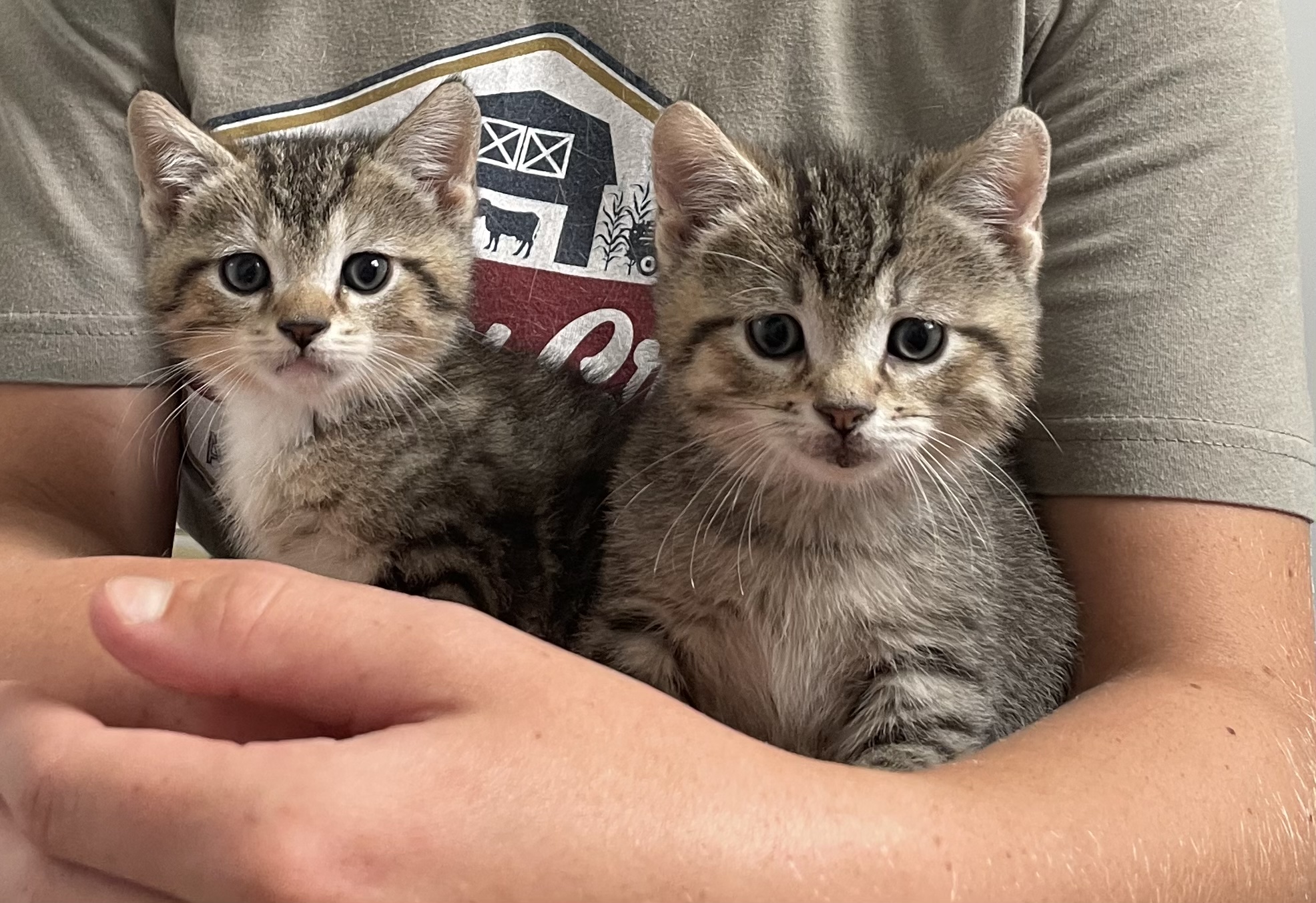 Marsh & Mellow, Baby Female unknown