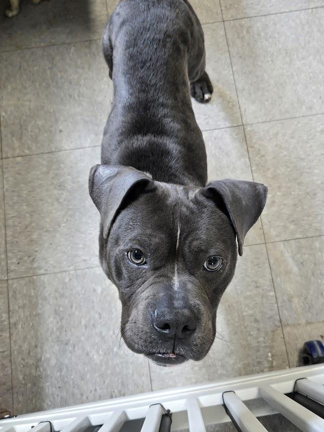 Cairo — thumbnail 2