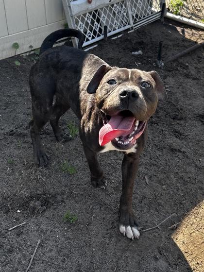 Cairo — thumbnail 4