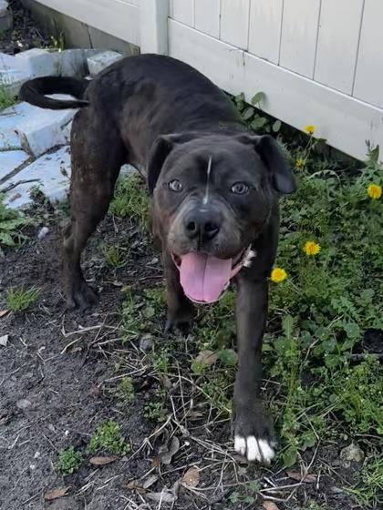 Cairo — thumbnail 5