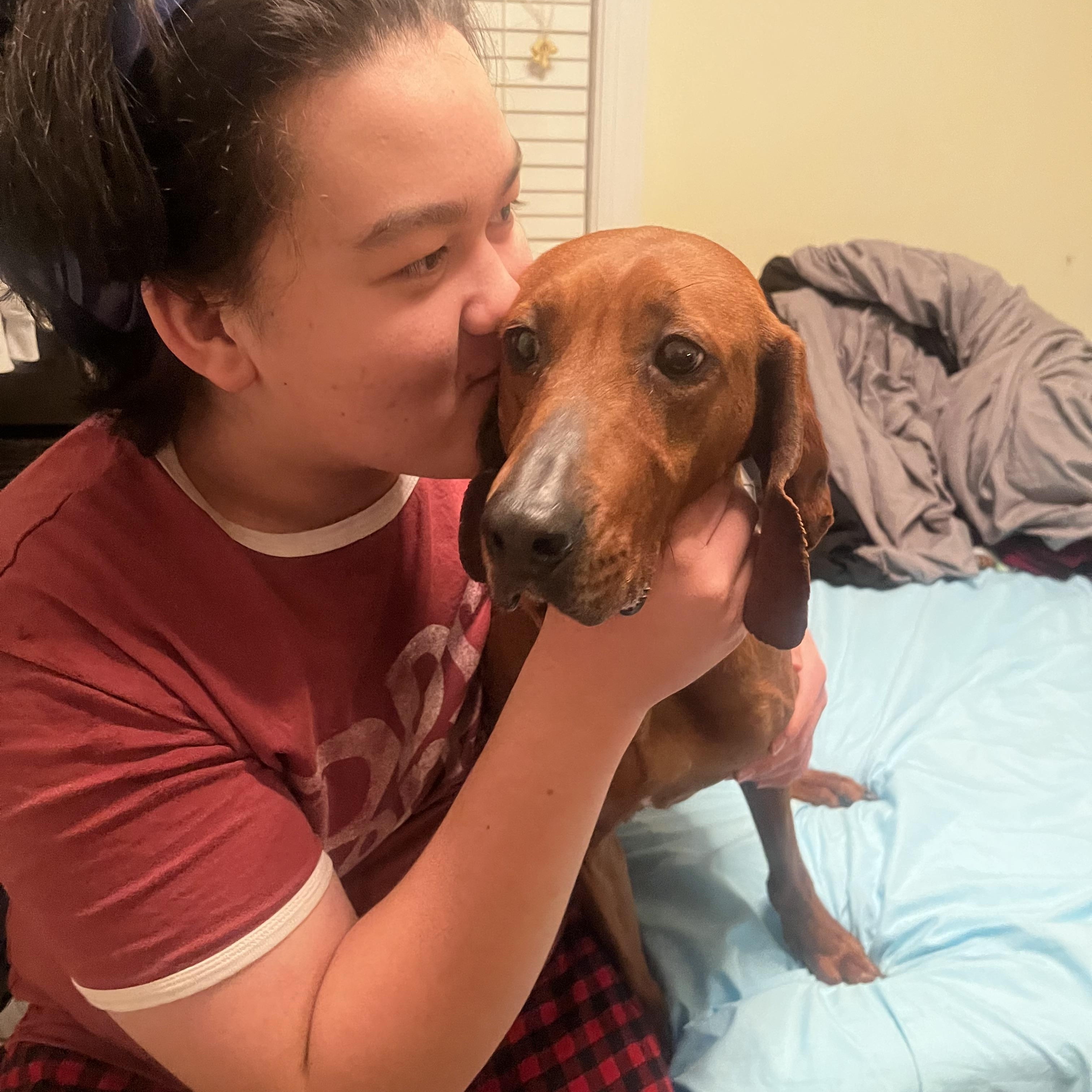 Enlarge Scarlett, a ADOPTABLE Redbone Coonhound in Cary, NC image 3/6