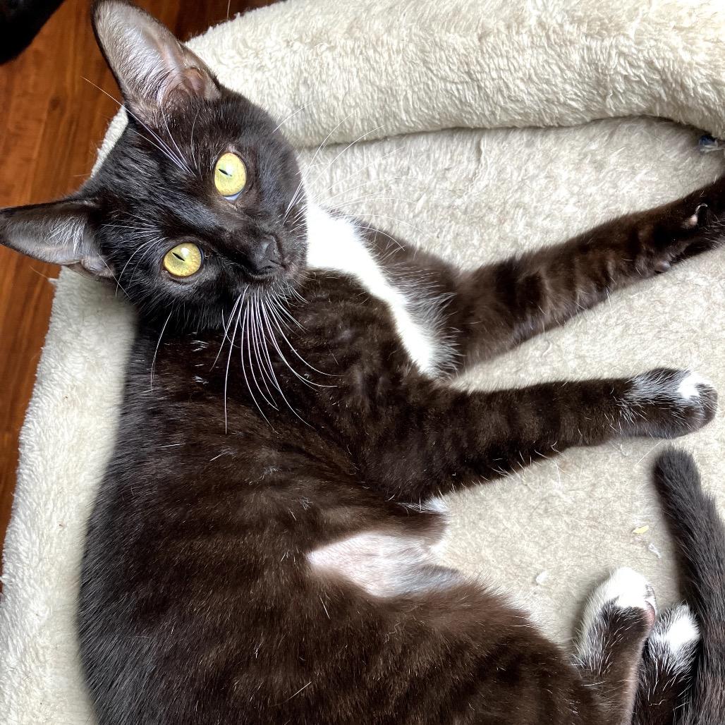 Agnes — thumbnail 2