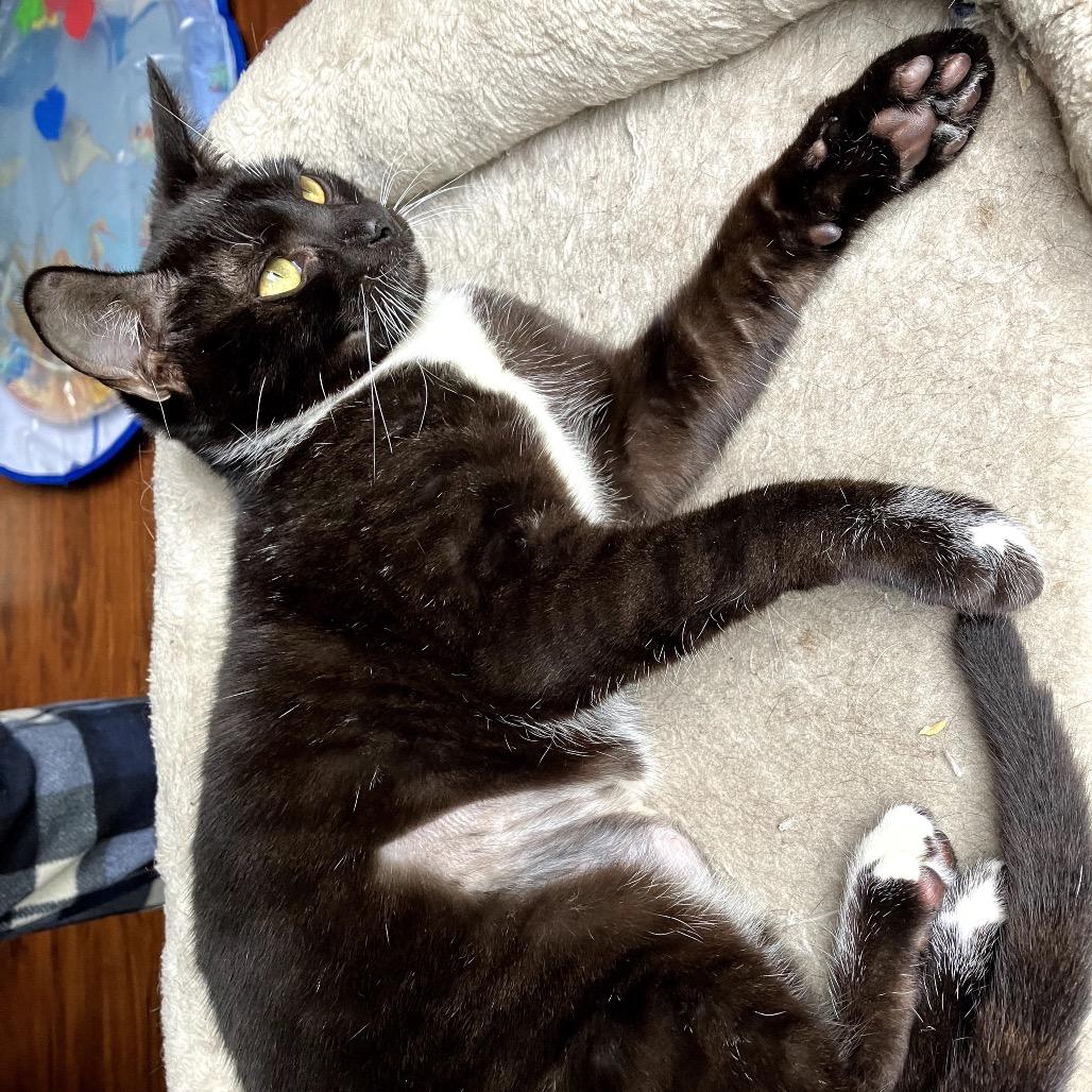 Agnes — thumbnail 4