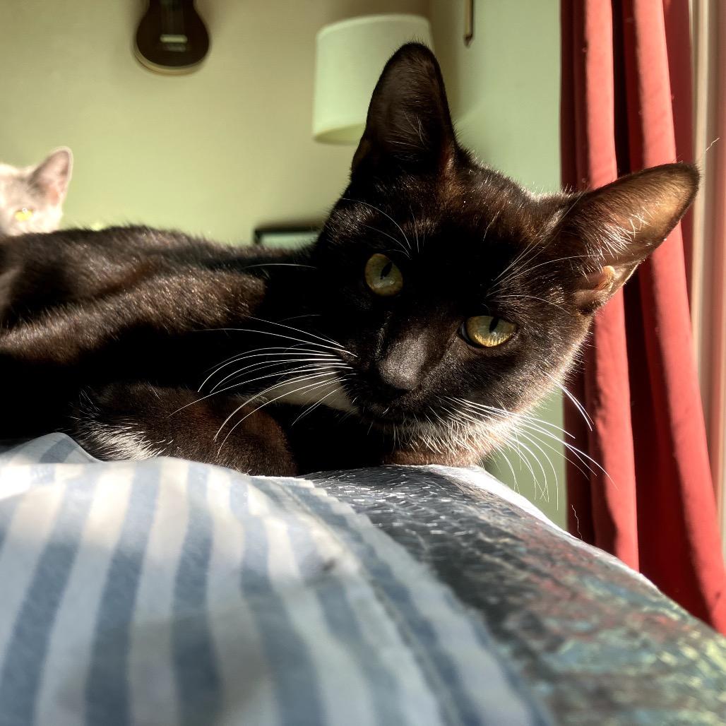 Agnes — thumbnail 5