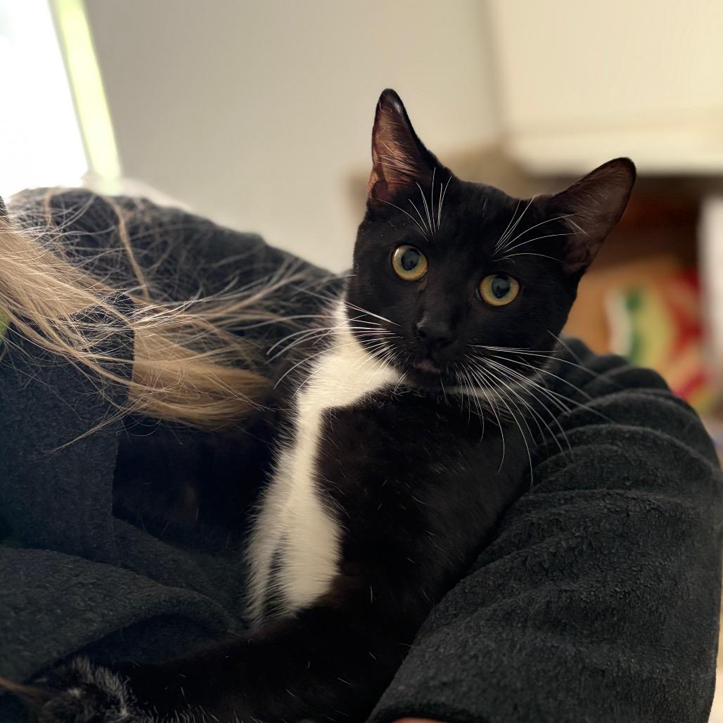 Agnes — thumbnail 6