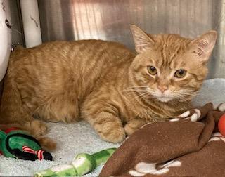 Mr. Mustachio — thumbnail 2