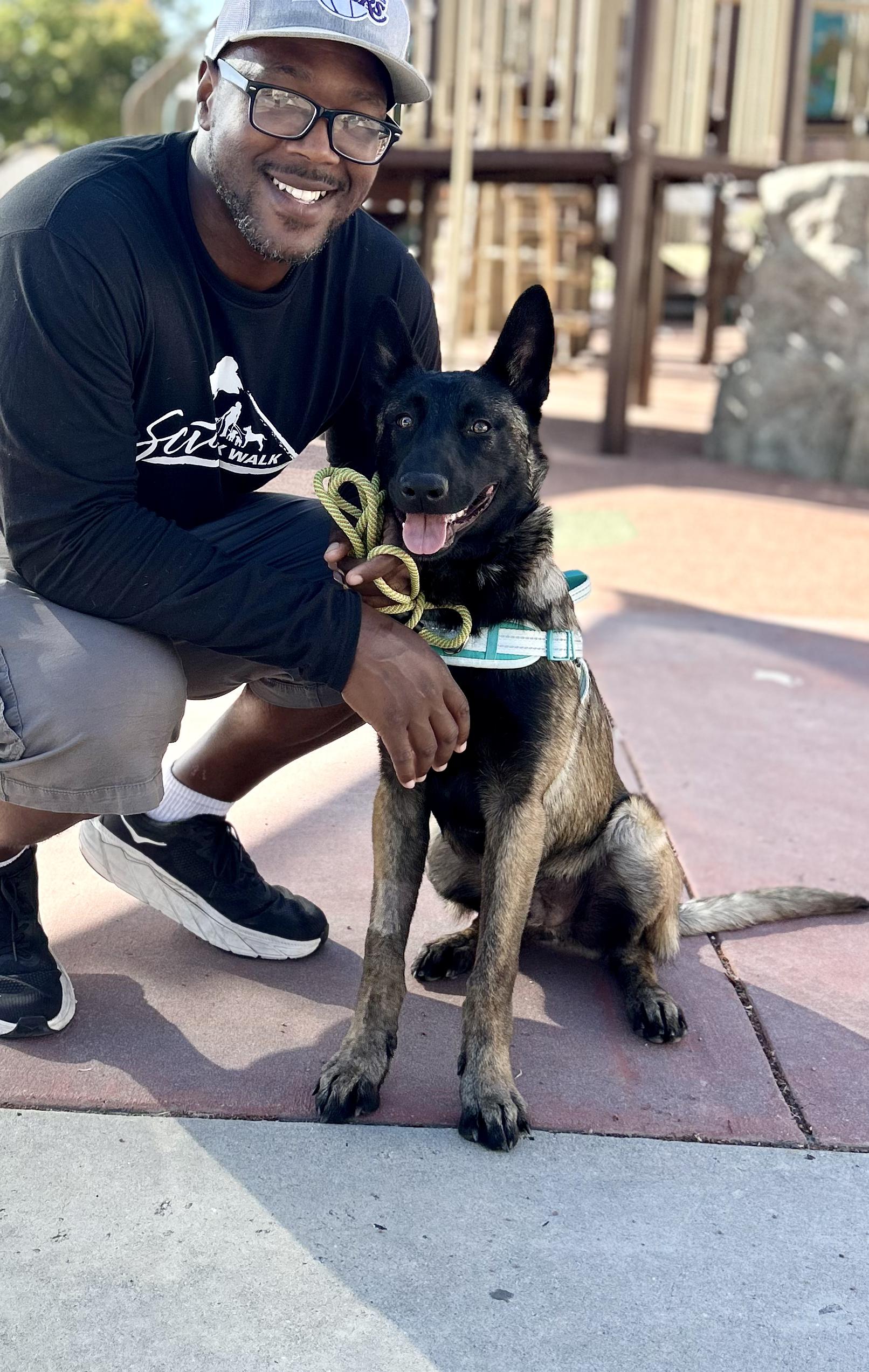 Enlarge Skye, a Adoptable Belgian Shepherd / Malinois image 3/6