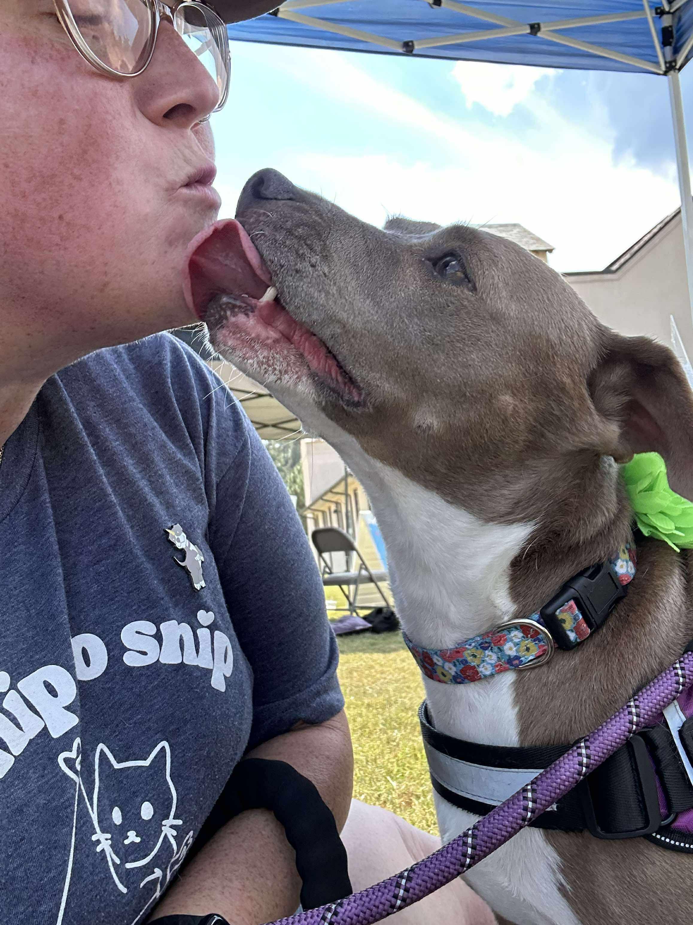 Enlarge Olive, a Adoptable mixed breed in Raeford, NC image 4/6