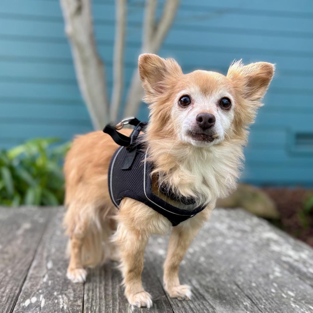 Sebastian — thumbnail 2