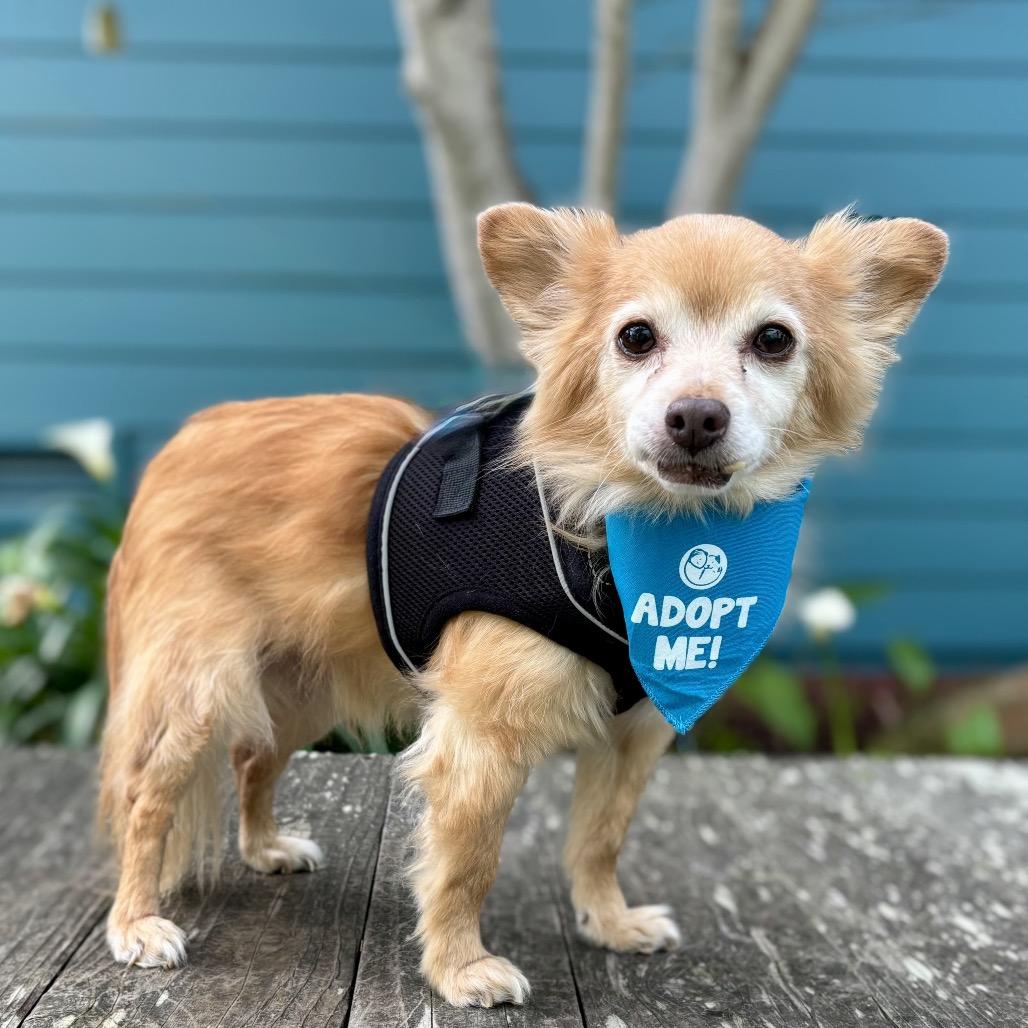 Sebastian — thumbnail 3