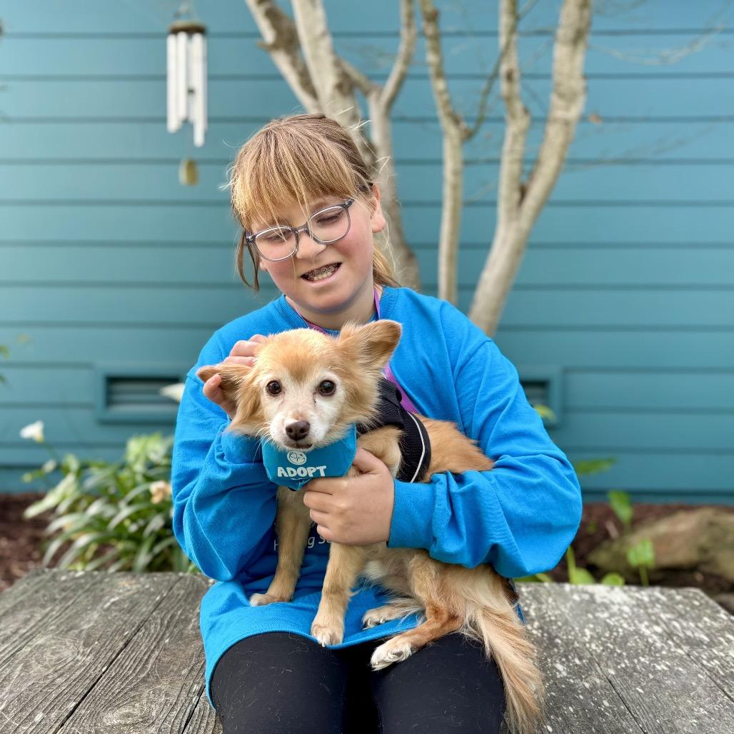 Sebastian — thumbnail 4