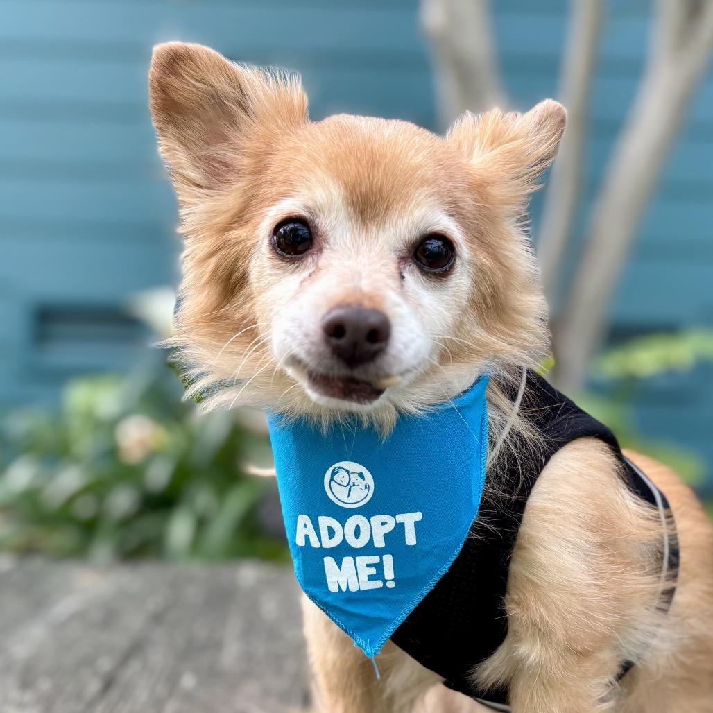 Sebastian — thumbnail 5