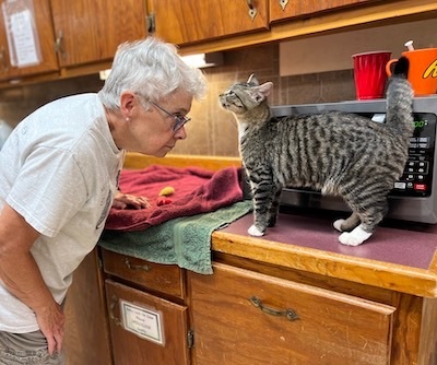 Lime — thumbnail 3