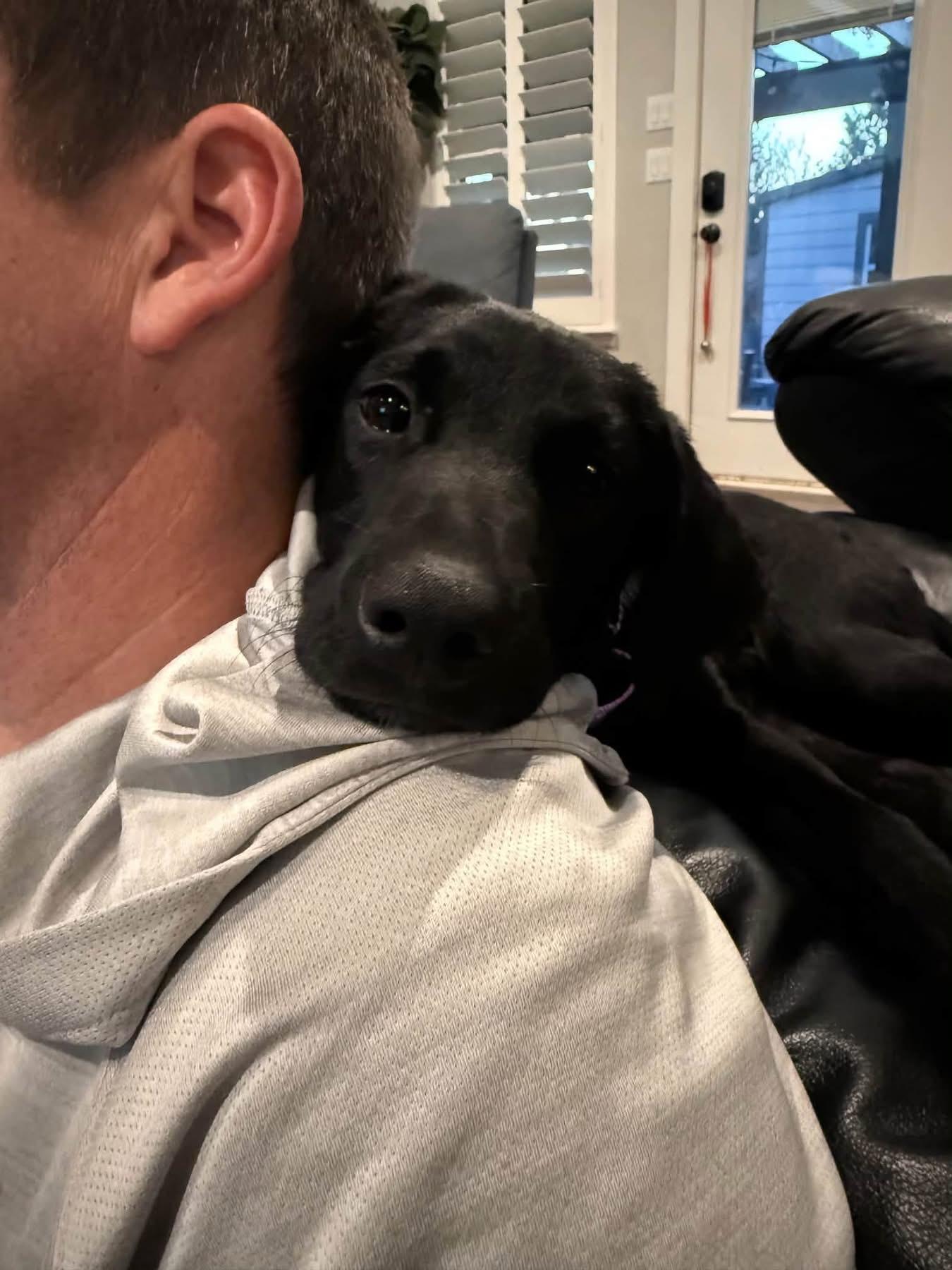 Enlarge Happy, a Adopted mixed breed in Southlake, TX image 2/6