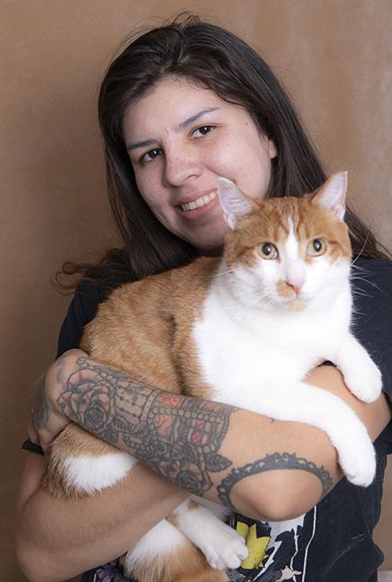 Enlarge Tommy, a Adoptable Domestic Short Hair in Chicago, IL image 3/6