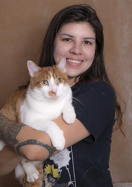 Enlarge Tommy, a Adoptable Domestic Short Hair in Chicago, IL image 2/6