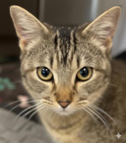 Marlin — thumbnail 2