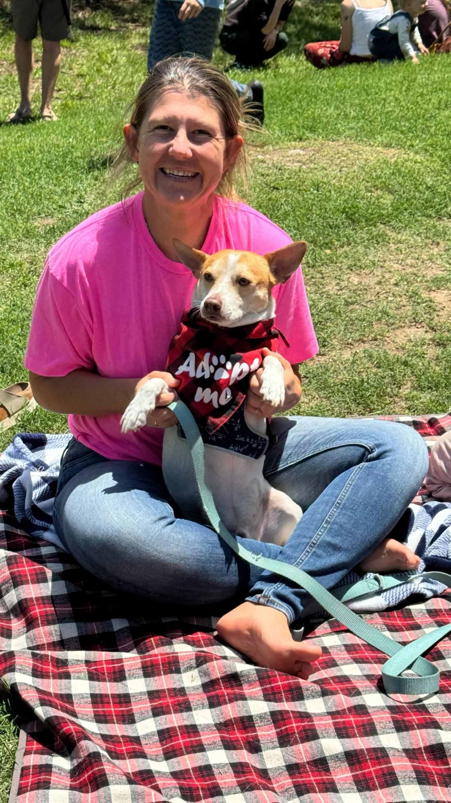 Enlarge Skippy, a Adoptable mixed breed in Austin, TX image 2/5