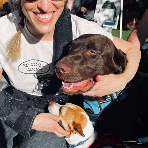 Enlarge Skippy, a Adoptable mixed breed in Austin, TX image 3/5