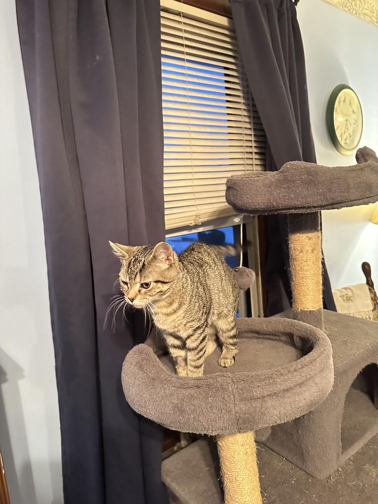 Skylar — thumbnail 2