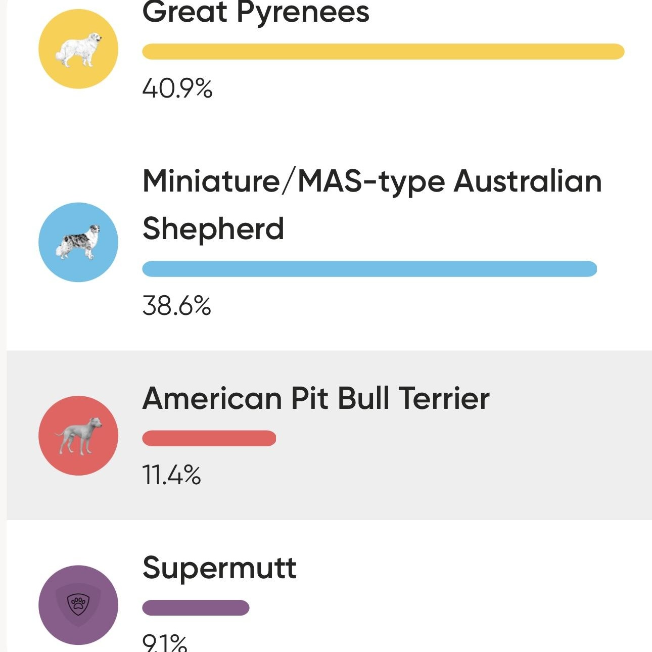 BENJI, a Adopted mixed breed in Weatherford, TX image 4/6