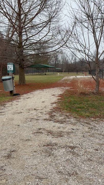 Enlarge Sandy, a Adoptable Labrador Retriever in Indianapolis, IN video 5/6