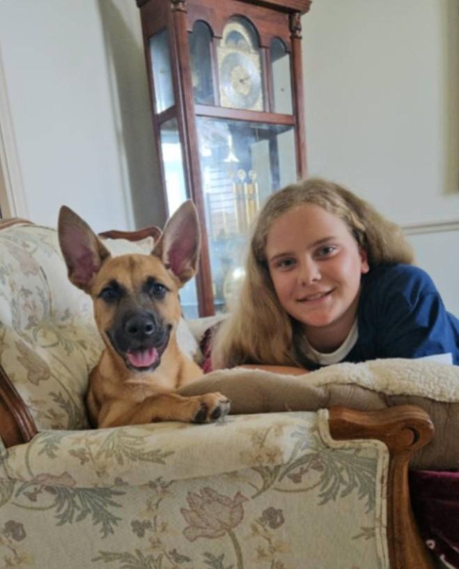 Queen the Happy Cuddly Girl, an adopted mixed breed in Seattle, WA image 2/6